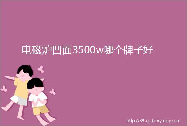 电磁炉凹面3500w哪个牌子好