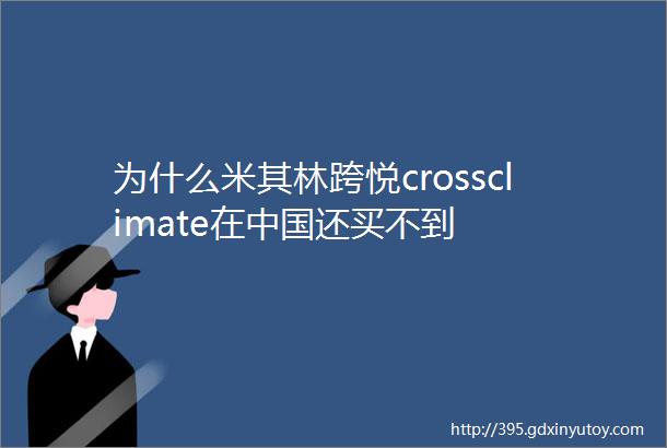 为什么米其林跨悦crossclimate在中国还买不到