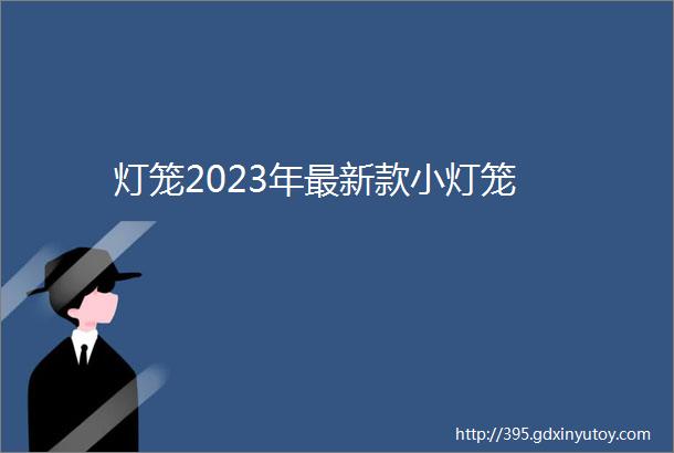 灯笼2023年最新款小灯笼