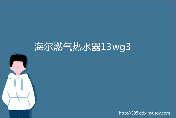 海尔燃气热水器13wg3