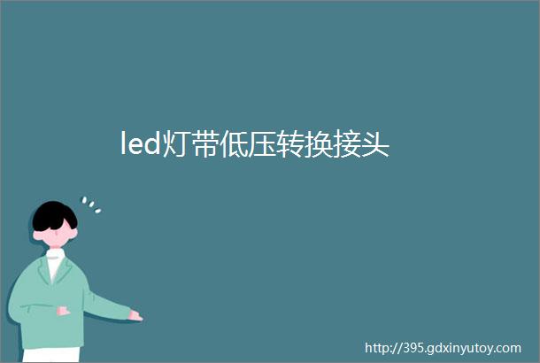 led灯带低压转换接头